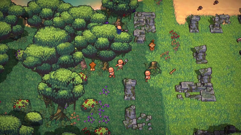 Exploring_Single_Jungle-scaled-1